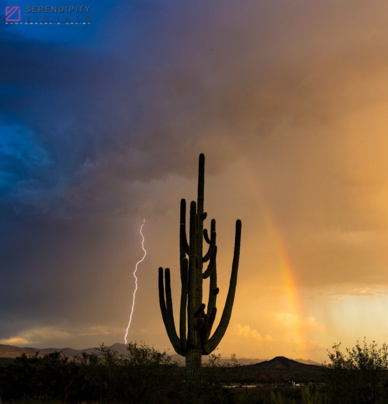 Monsoon #18