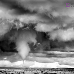 Tornado #24