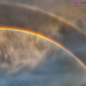 Monsoon #34