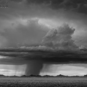 Monsoon #63
