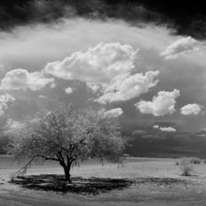 Monsoon #65