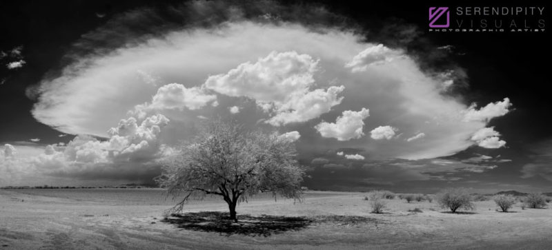 Monsoon #65