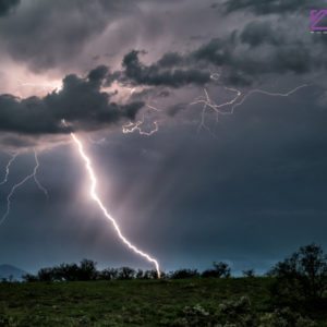 Monsoon #10