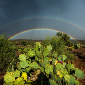 Monsoon #39