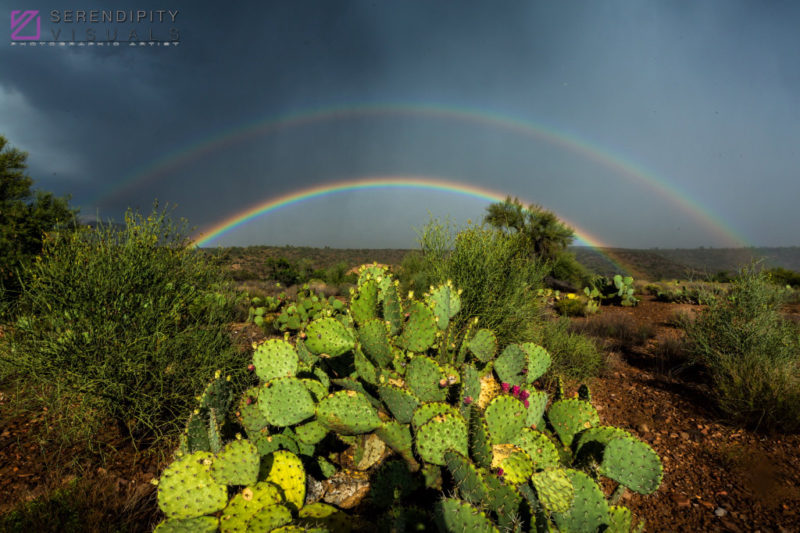 Monsoon #39