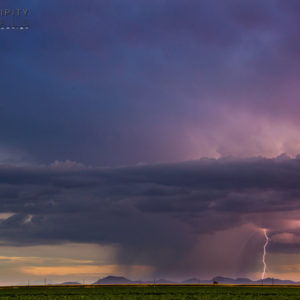 Monsoon #55