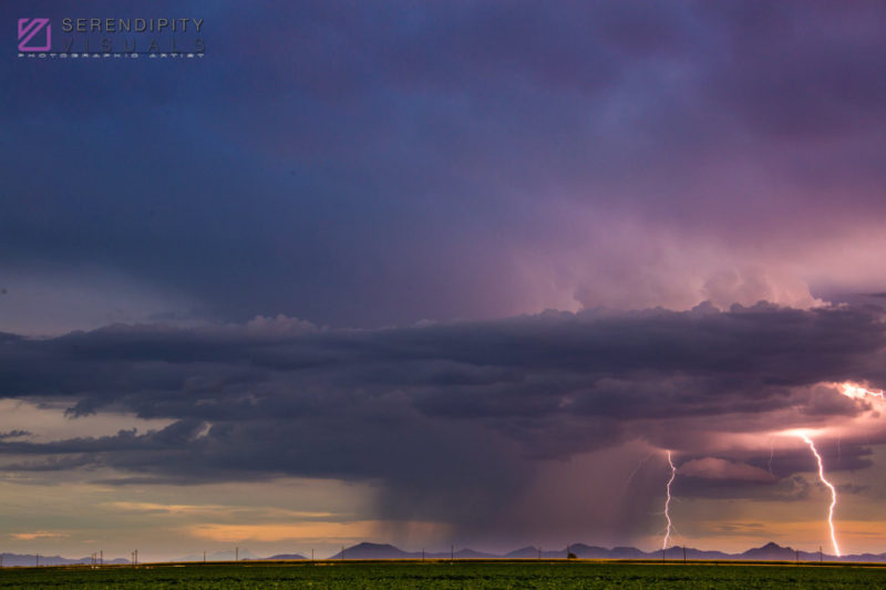 Monsoon #55