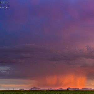 Monsoon #54