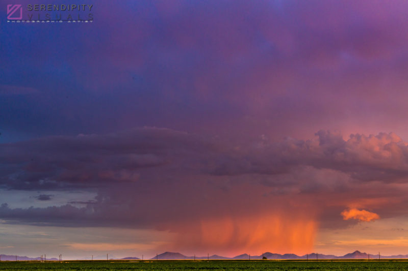 Monsoon #54