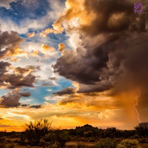 Monsoon #57