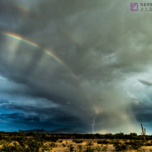 Monsoon #61