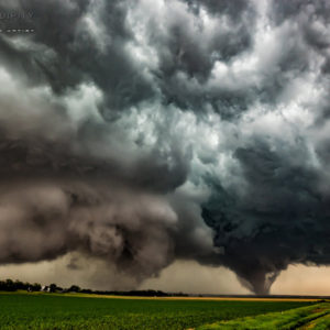 Tornado #15