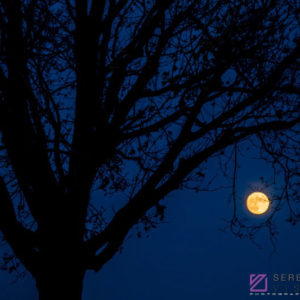 Nighttime Sky #33