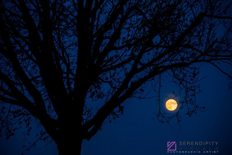 Nighttime Sky #33