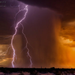 Monsoon #16