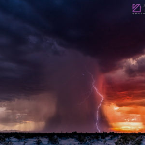 Monsoon #12