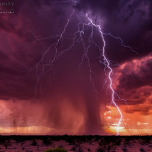 Monsoon #17