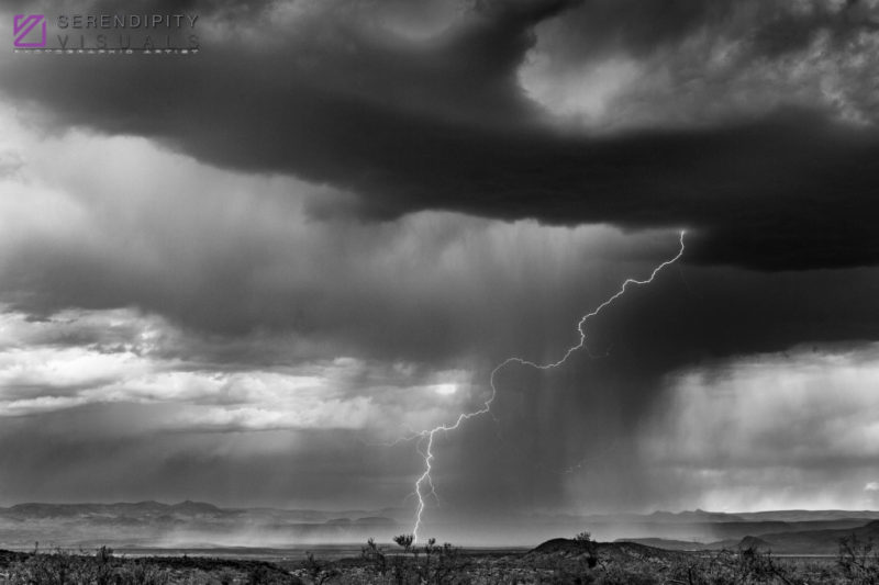 Monsoon #51