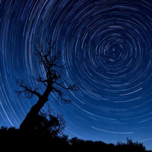 Nighttime Sky #21