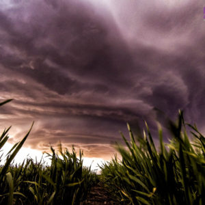 Tornado #30
