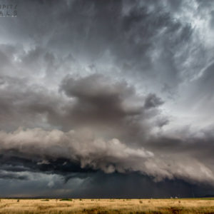 Tornado #36